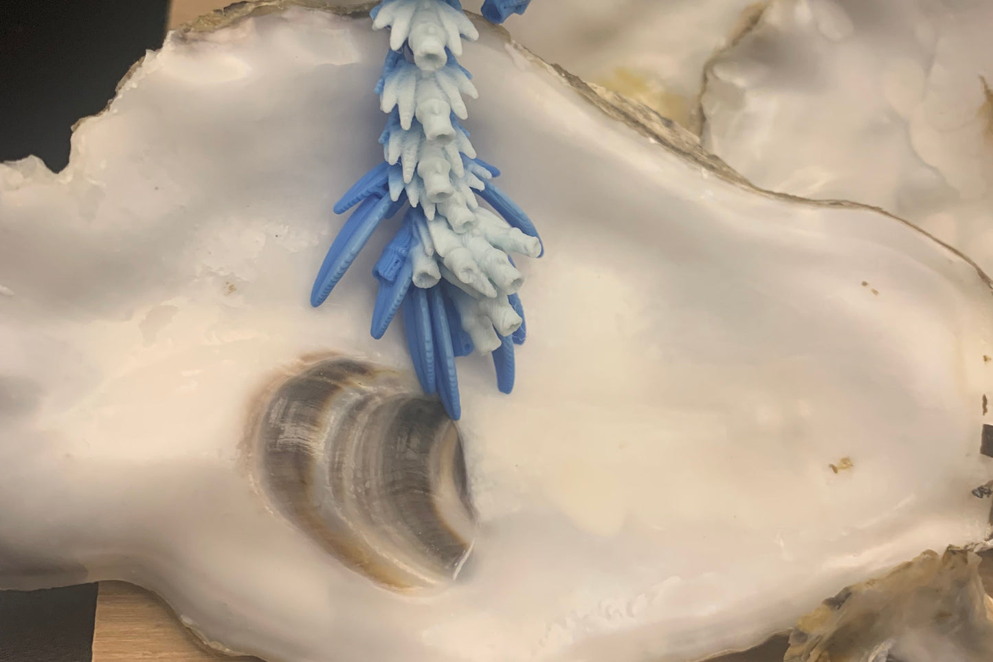 Blau-weisser Bambusdrache